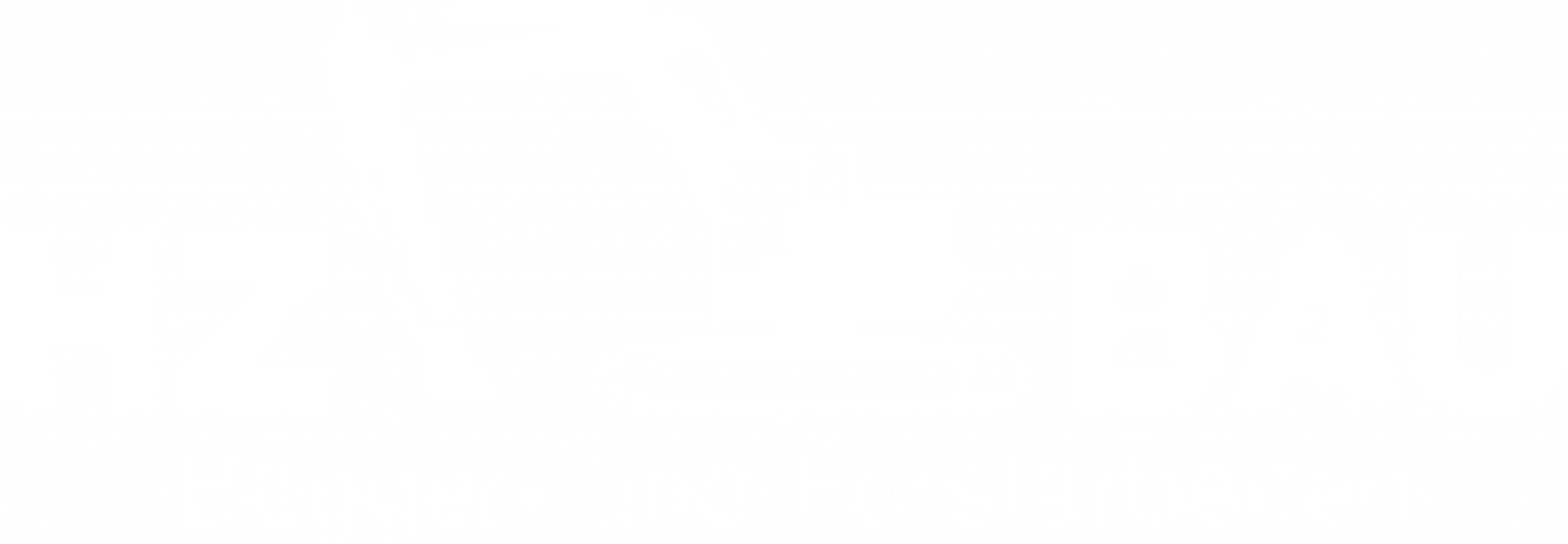 HZ Bau – Bagger- und Forstarbeiten